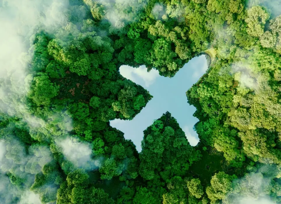 Sustainability