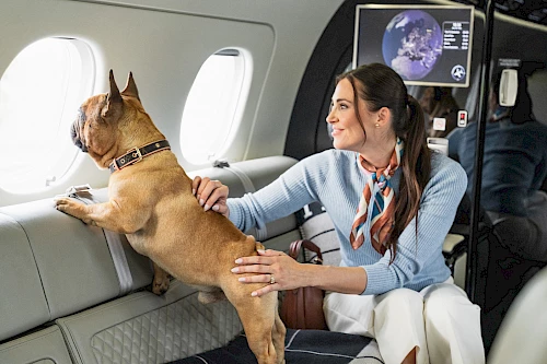 Praetor 600 interior