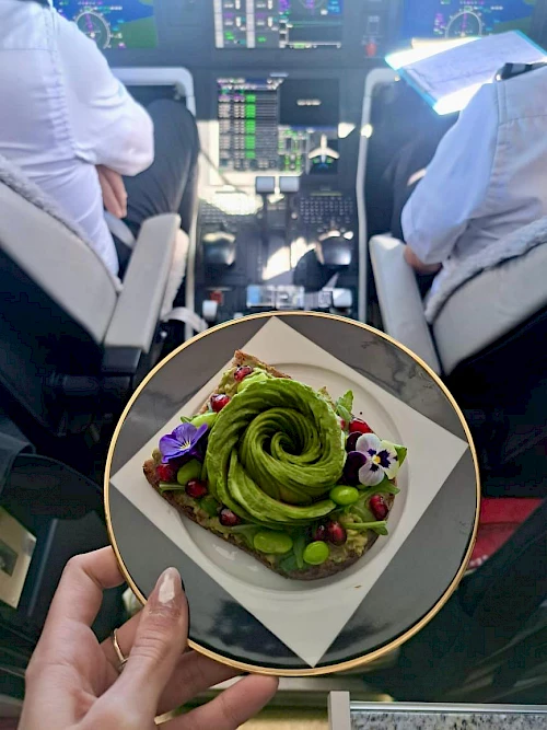 Atmospherica Private Jets