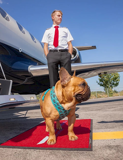 Atmospherica Private Jets