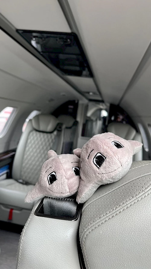 Atmospherica Private Jets