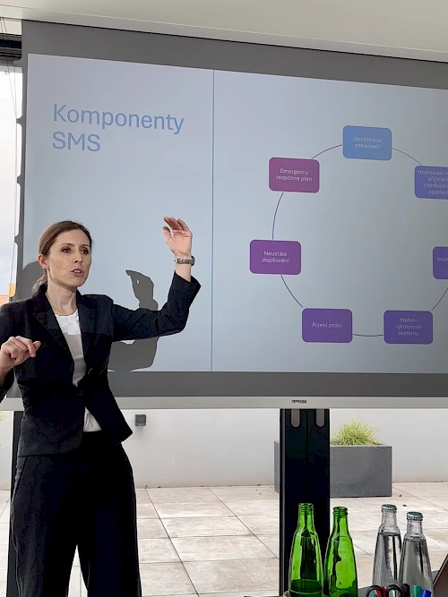 Atmospherica Private Jets